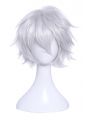 White Silver Cosplay Wig With Furry Ear