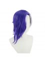 ONE PIECE Page One Grey Mixed Purple Cosplay Wigs