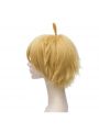 The Seven Deadly Sins Wigs
