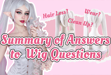 Summary of Answers to Wig Questions.